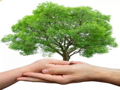 家校互動|朱永新：家庭教育關(guān)鍵十點