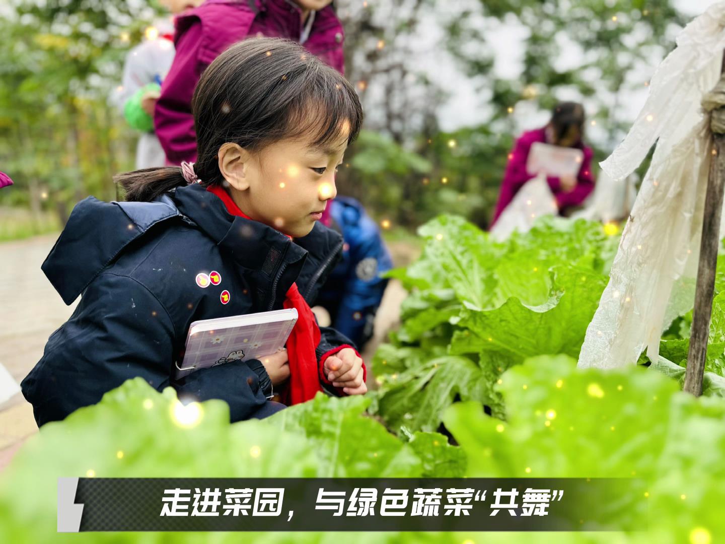 #美好學(xué)校|留校時(shí)光，走出教室，與綠色蔬菜共舞