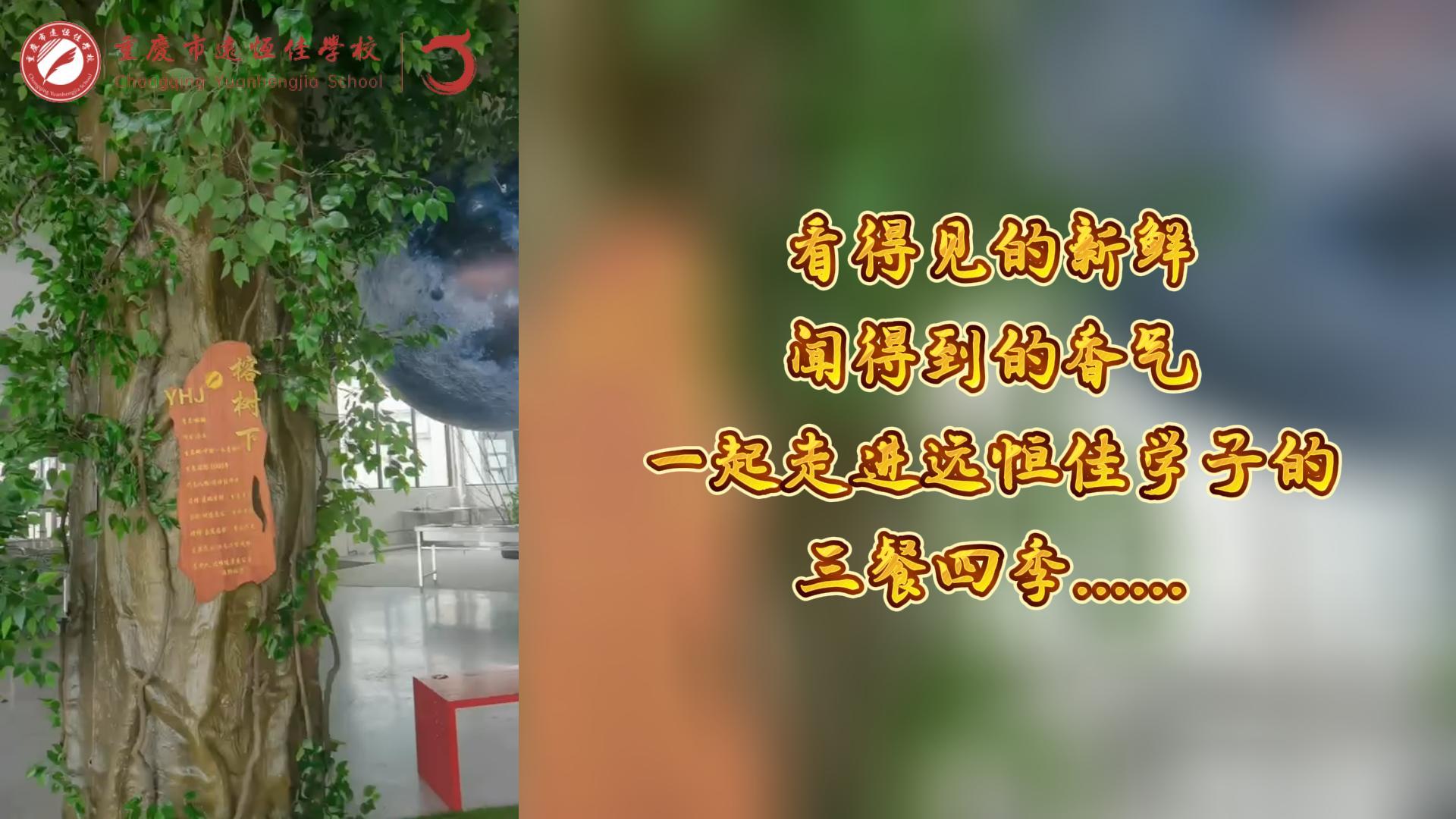 #美好學(xué)校|看得見的新鮮，聞得到的香味，一起走進(jìn)遠(yuǎn)恒佳學(xué)子的三餐四季!