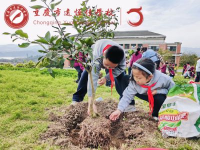 多彩遠恒佳|植綠啟新，共育美好——重慶市遠恒佳學校義教部開展“我與小樹共成長”主題植樹活動